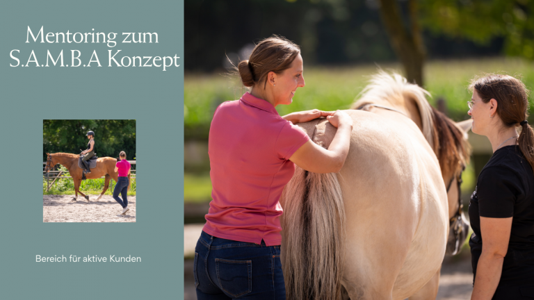 Mentoring zum S.A.M.B.A Konzept