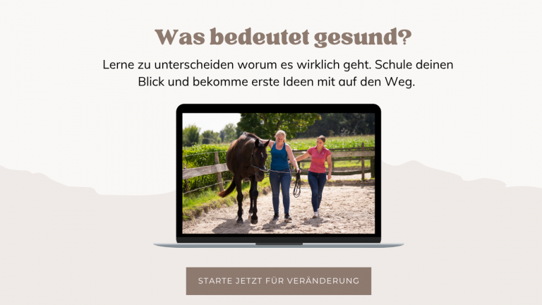 Gesunde Bewegung beim Pferd erkennen und verstehen
